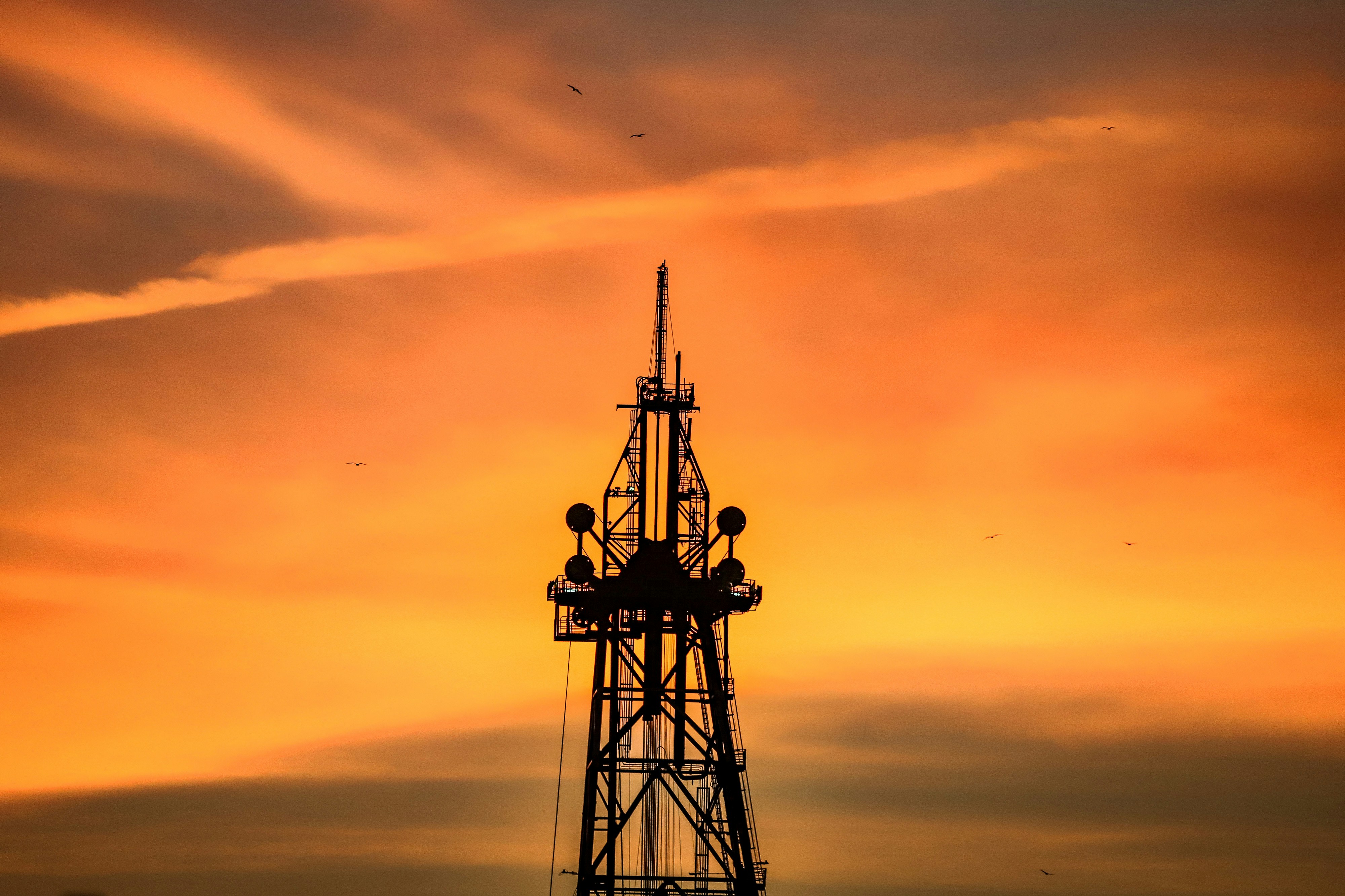 Wireline Services